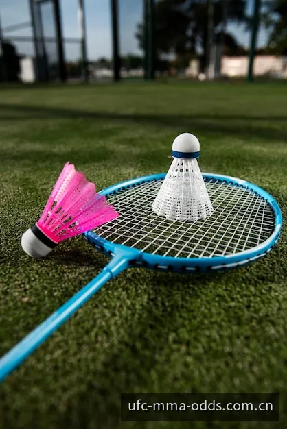 职业拳击金腰带统一战拳台赔率分析